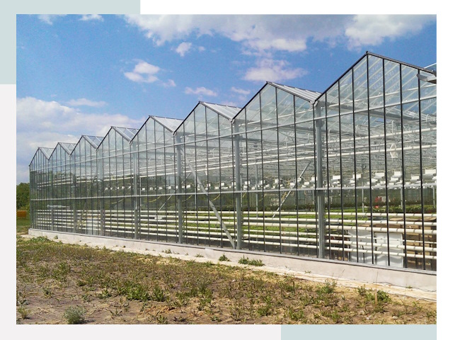 Строительство теплиц в Таганрог от 611 руб. за м²